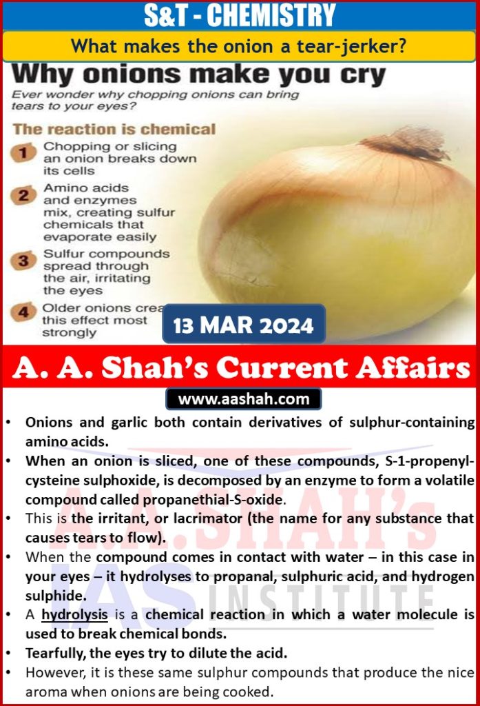 S&T - CHEMISTRY What makes the onion a tear-jerker?